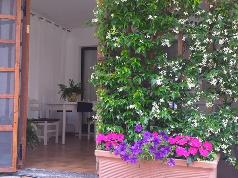 Alla Ghigliotta Viverone Zewnętrze zdjęcie